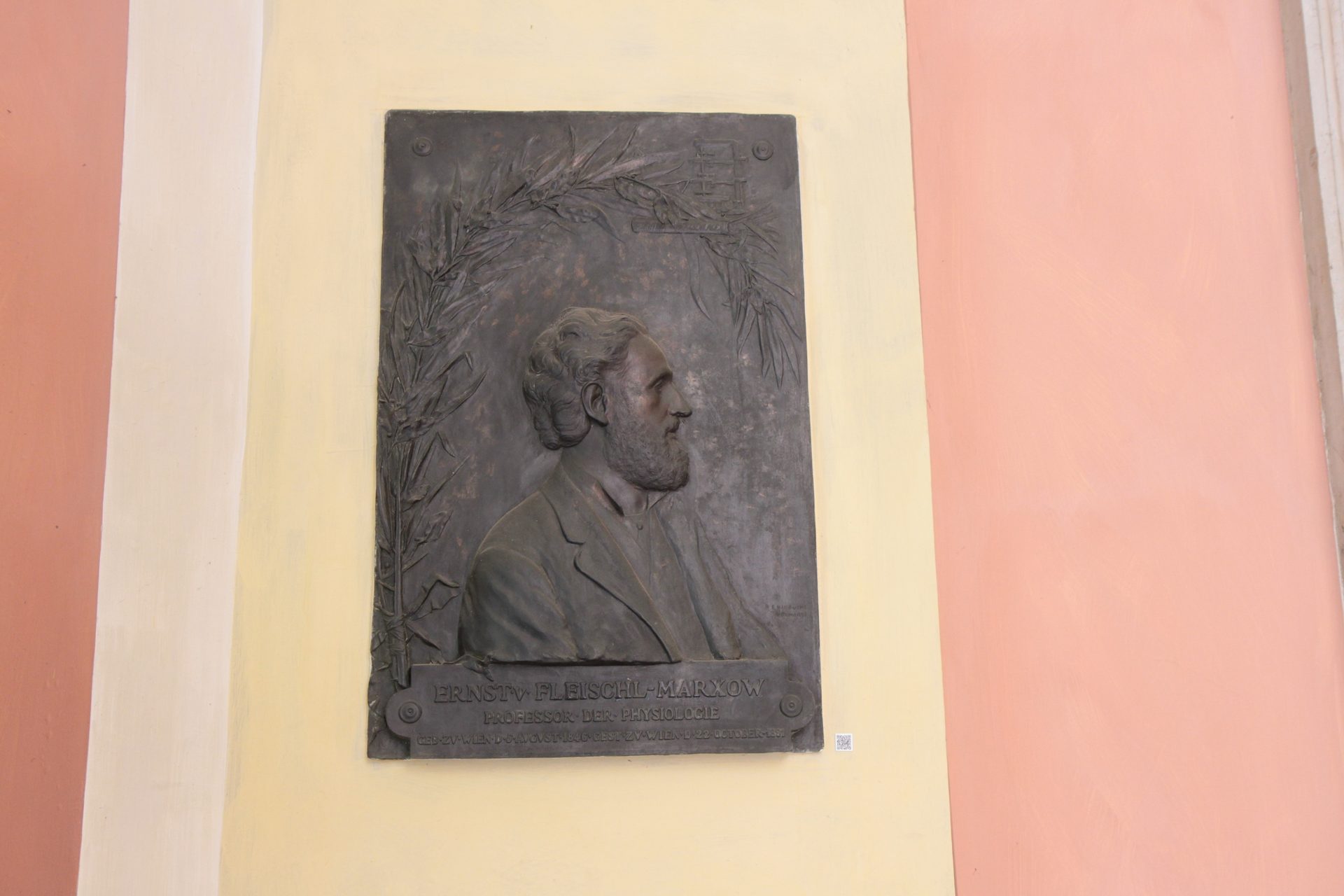 Ernst von Fleischl-Marxow, Medical monuments B, UNI Vienna (16).JPG